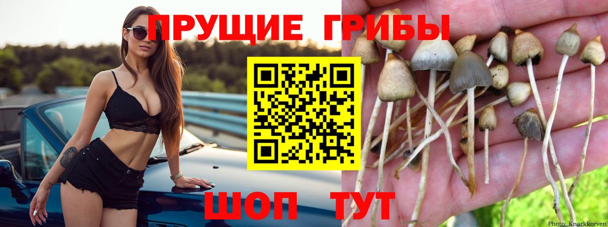 Галлюциногенные грибы прущие грибы Еманжелинск